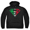 Superman - Mexican Flag Shield Adult Pull Over Hoodie