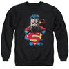 Superman - Displeased Adult Crewneck Sweatshirt