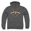 Superman - Take Wing Adult Pull Over Hoodie