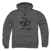 Superman - Steel Poses Adult Pull Over Hoodie