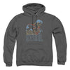 Superman - Colored Lines Adult Pull Over Hoodie