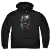 Superman - Light Of The Sun Adult Pull Over Hoodie