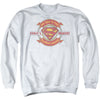 Superman - Worlds Greatest Hero Dad Adult Crewneck Sweatshirt