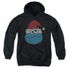 Sesame Street - Cookie Monster Christmas Youth Hooded Sweatshirt
