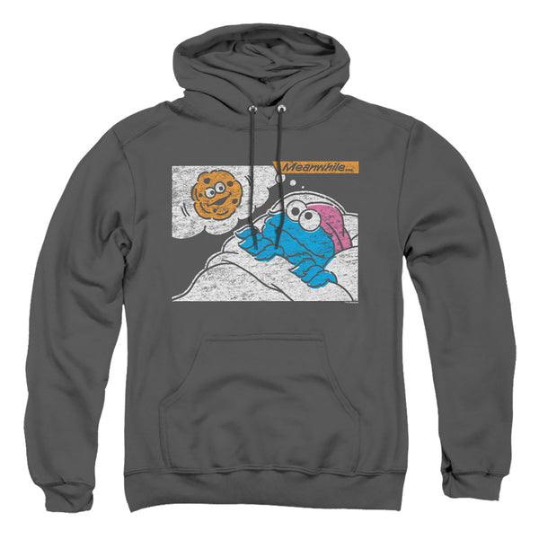 Sesame Street - Meanwhile Adult Pullover Hoodie