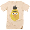 Sesame Street - The Bert Mug Adult Regular Fit Short Sleeve