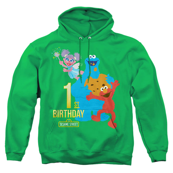 Sesame Street - 1St Birthday Adult Pullover Hoodie