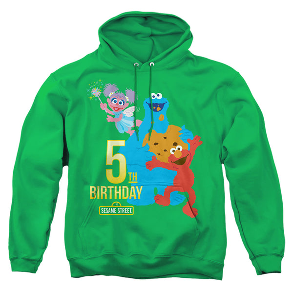 Sesame Street - 5Th Birthday Adult Pullover Hoodie