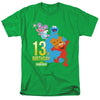 Sesame Street - 13Th Birthday Adult Regular Fit Short Sleeve
