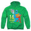 Sesame Street - 14Th Birthday Adult Pullover Hoodie