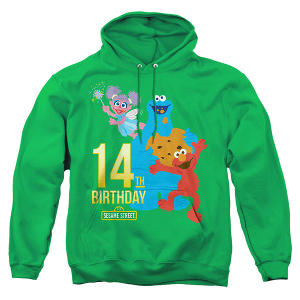Sesame Street - 14Th Birthday Adult Pullover Hoodie