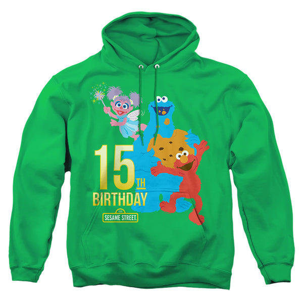 Sesame Street - 15Th Birthday Adult Pullover Hoodie