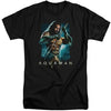 AQUAMAN - TRIDENT T-ShirtS