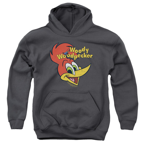 Woody Woodpecker - Retro Logo Youth Hooded Sweatshirt