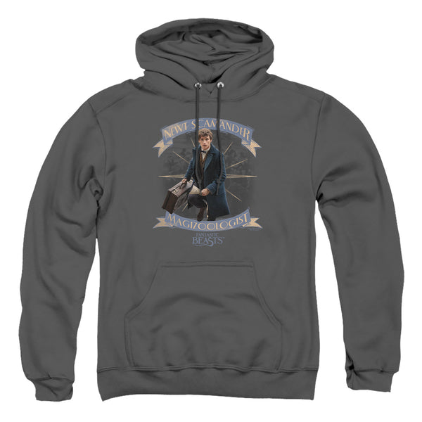 Fantastic Beasts - Newt Scamander Adult Pullover Hoodie