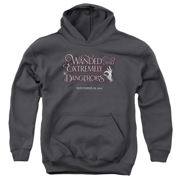 Fantastic Beasts - Wanded Youth Hooded Sweatshirt