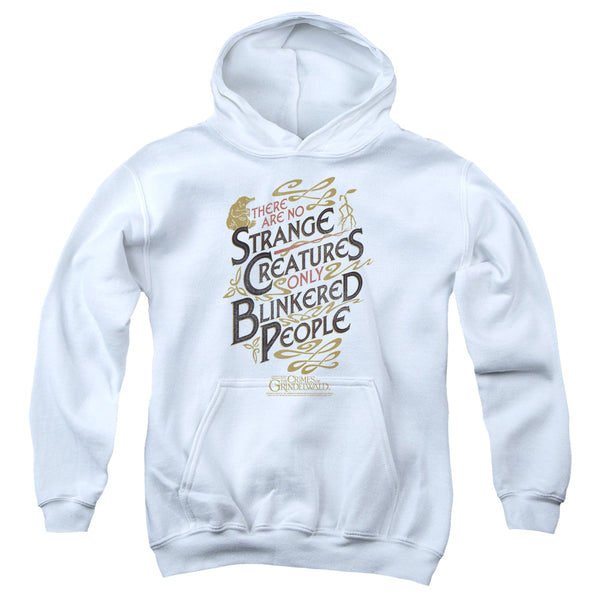Fantastic Beasts 2 - Blinkered People Youth Hooded Sweatshirt