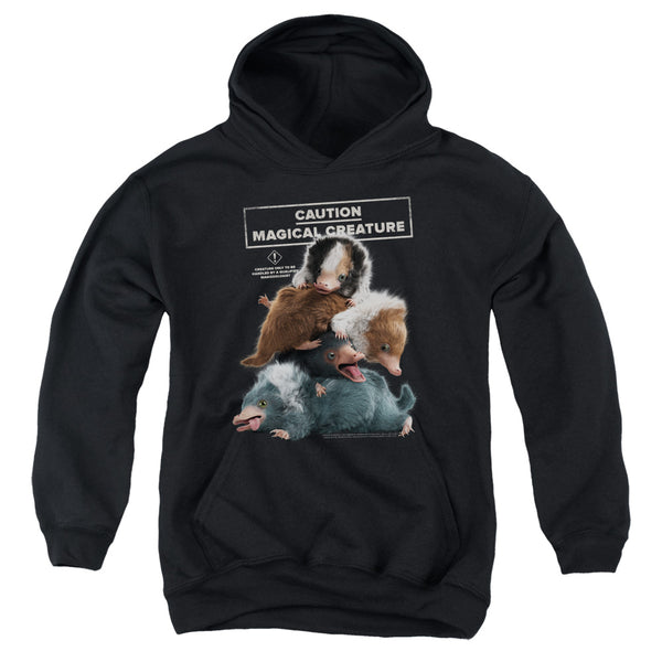 Fantastic Beasts 2 - Cuddle Puddle Youth Hooded Sweatshirt