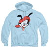 Animaniacs - Wakko Head Adult Pullover Hoodie