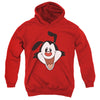 Animaniacs - Yakko Head Youth Hooded Sweatshirt