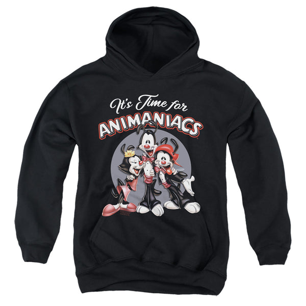 Animaniacs - Its Time For Youth Hooded Sweatshirt