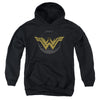 Wonder Woman Movie - Distressed Logo Youth Hooded Sweatshirt