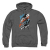 Wonder Woman Movie - Fight For Peace Adult Pullover Hoodie