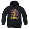 Wonder Woman 84 - The Cheetah Youth Hooded Sweatshirt